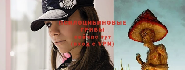 круглые Аркадак